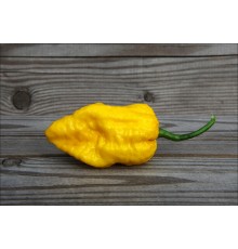 Nagabrains Yellow
