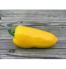 Lunchbox Yellow