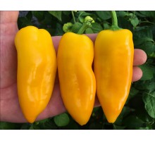 Mini Sweet Yellow