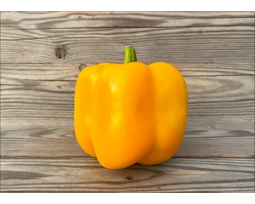 Golden California Wonder