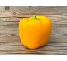 Quatro d'Asti Giallo