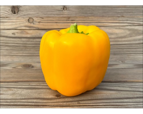 Quatro d'Asti Giallo