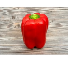 Quatro d’Asti Rosso