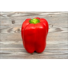 Quatro d’Asti Rosso