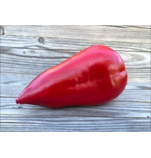 Roter Augsburger