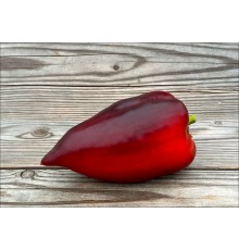 Otello