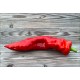 Sweet Point Red