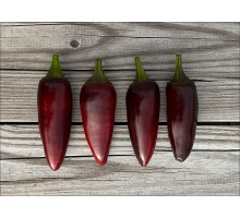 Jalapeno Purple