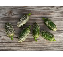 Jalapeno Xalapa