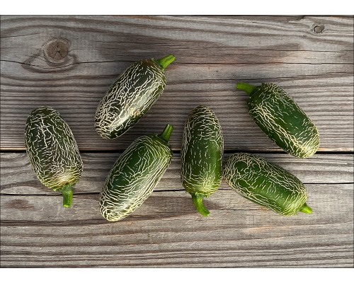 Jalapeno Xalapa