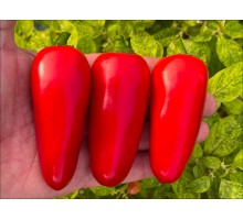 Jalapeno Compadre