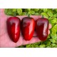 Jalapeno Black Magic