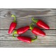 Jalapeno Mini