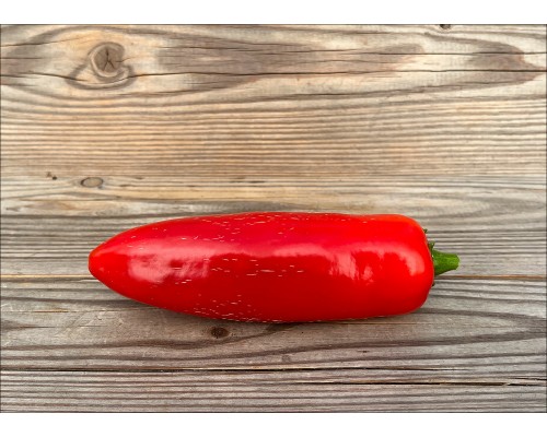 Jalapeno Giant Sweet