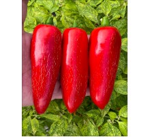 Fox Big Jalapeno