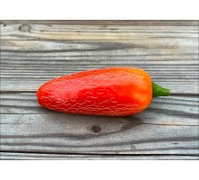 Jalapeno Mezquites