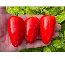 Jalapeno Dulce