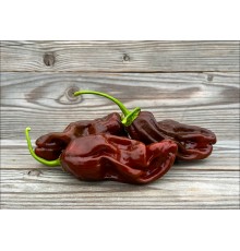 Dulce Marron