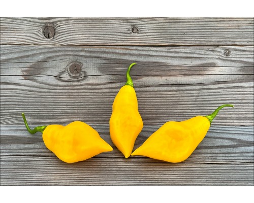Santa Lucia Yellow Seasoning