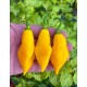 Santa Lucia Yellow Seasoning
