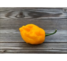 El Oro de Ecuador