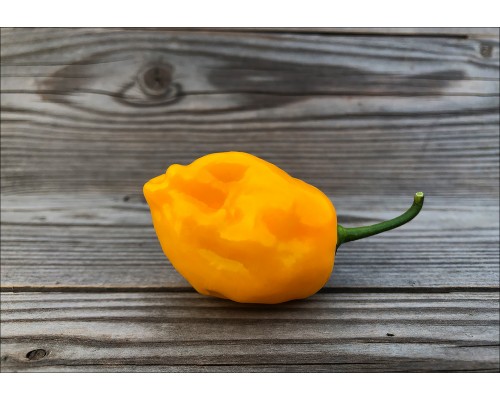 El Oro de Ecuador