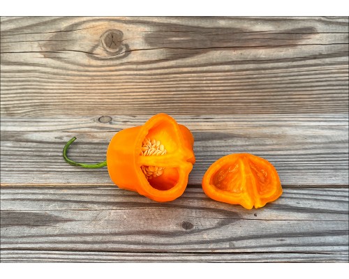 Aji Fantasy Orange