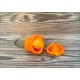 Aji Fantasy Orange