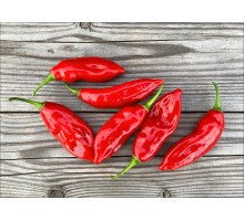 Aji Huanuco