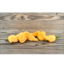Fragrant Bellini