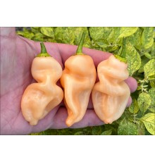 Aji Rooney Peach