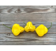 Elfin Lemon
