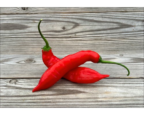 Aji Agilla