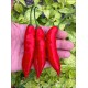 Aji Agilla