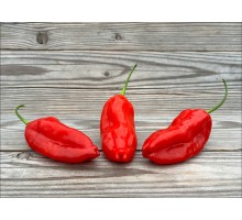 Aji Pinnau