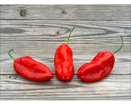Aji Pinnau
