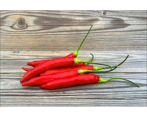 Aji Chinchi Red