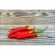 Aji Chinchi Red