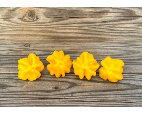 Brazilian Starfish Yellow