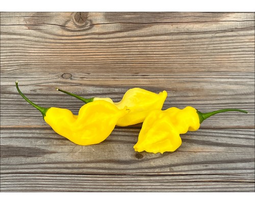 Aji Colombian Yellow