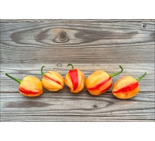 Peppapeach Stripey