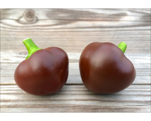 Chocolate Cherry
