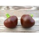 Chocolate Cherry