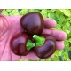 Chocolate Cherry