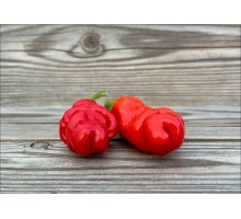 Peter Pepper