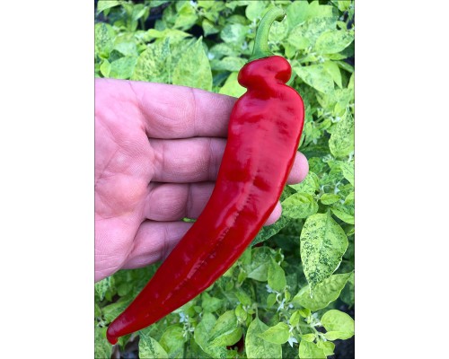 Machete