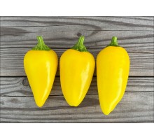 Spice Giant Lemon
