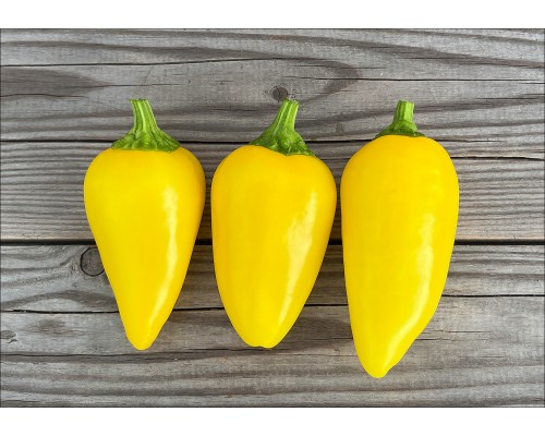Spice Giant Lemon