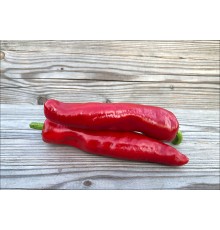 Txorixero