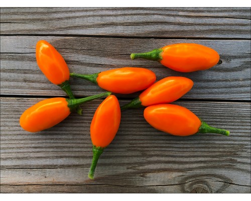Pimenta La Macarena
